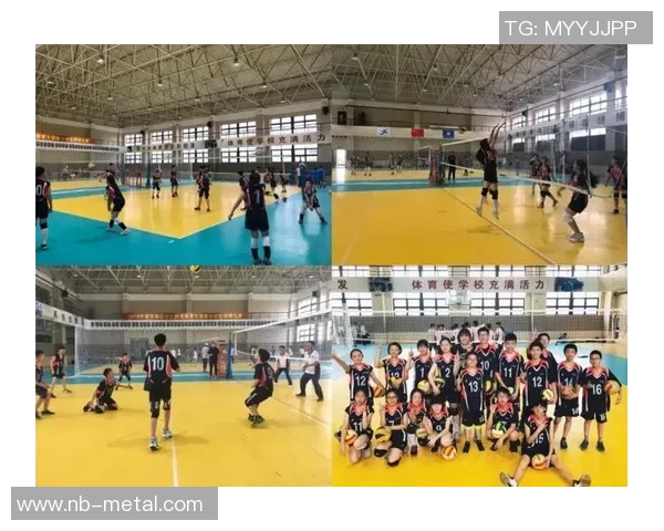 上海排球队的整体压制策略解析与深度剖析排球竞技的胜利之道 上海排球队的整体压制策略解析与深度剖析排球竞技的胜利之道