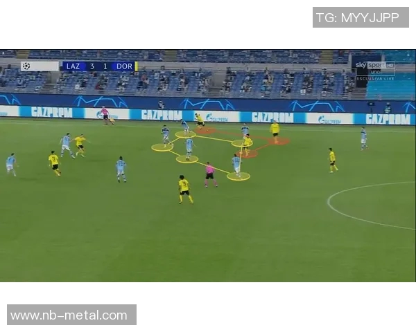 杭州极限运动队区域防守分析及其对比赛成绩的影响探讨