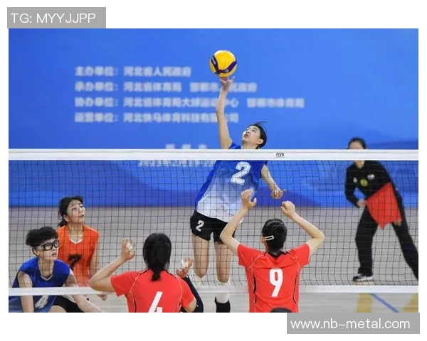 深圳排球队刷新排球速度纪录引发全国关注与热议