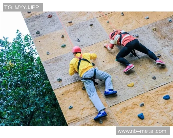 科学攀岩中的团队协作训练策略与实践探索 科学攀岩中的团队协作训练策略与实践探索