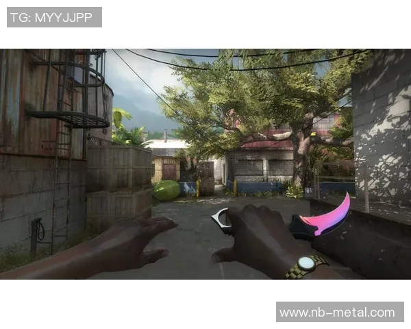 从零到高手：全面解析CSGO游戏技巧与策略指南