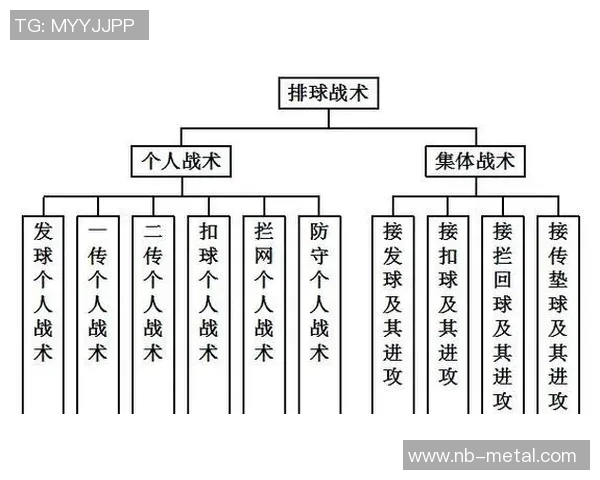 排球新手必看:从基础到战术的全面入门指南与技巧分享 排球新手必看:从基础到战术的全面入门指南与技巧分享