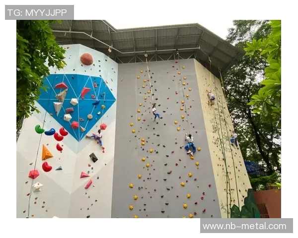 杭州攀岩队在全国团队协作排行榜中荣获第九名的佳绩引发关注 杭州攀岩队在全国团队协作排行榜中荣获第九名的佳绩引发关注