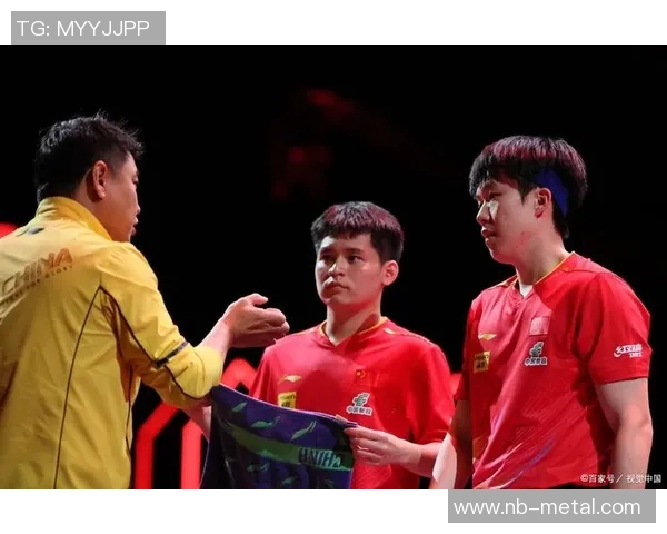 中国乒乓球运动员的成长之路与世界赛场上的辉煌成就