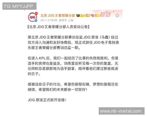 王者荣耀专题：深入分析JDG战队灵活战术与应变能力的成功之道