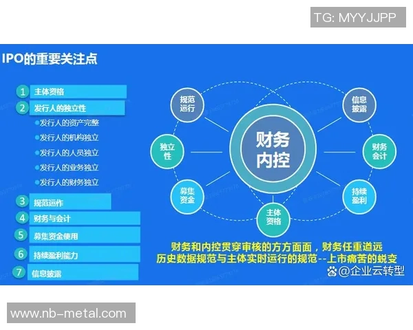 税务数字化转型背景下的政策创新与企业合规发展路径探析