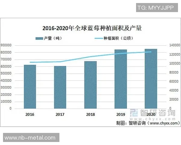 南京乒乓球队近期状态深度对比与未来发展趋势分析