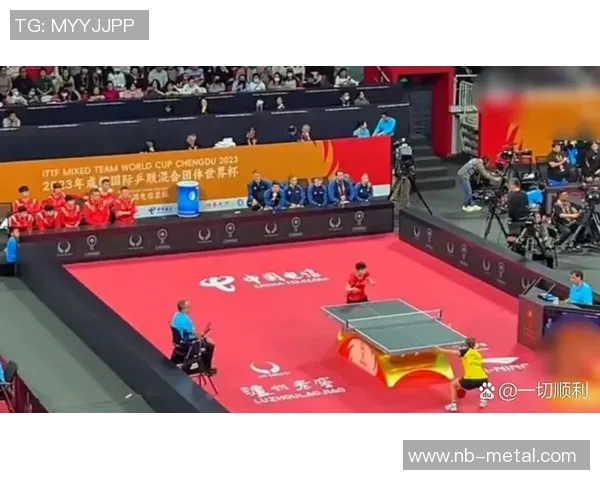 乒乓球盛宴:深入成都乒乓球队的速度与技巧之旅 乒乓球盛宴:深入成都乒乓球队的速度与技巧之旅